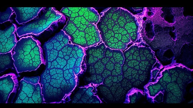 Neon Bio-Organic Cracks Abstract Wallpaper