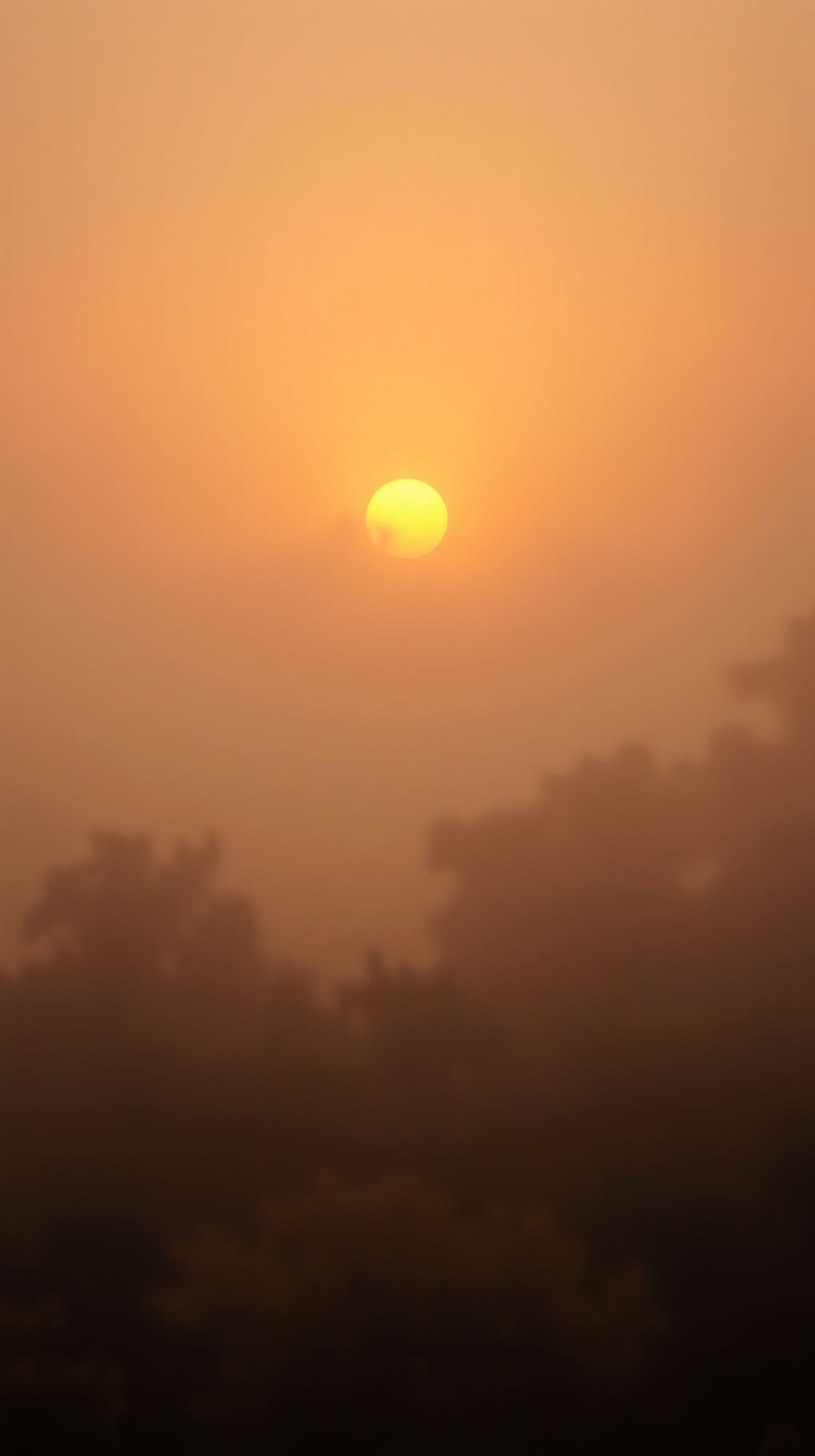 Hazy Golden Sunrise Through Mist and Trees, sunrise, hazy, golden, mist, fog, trees