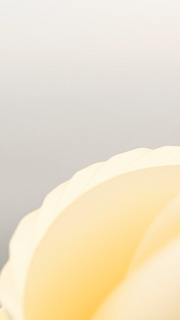 Soft Pastel Abstract Cream Waves Wallpaper