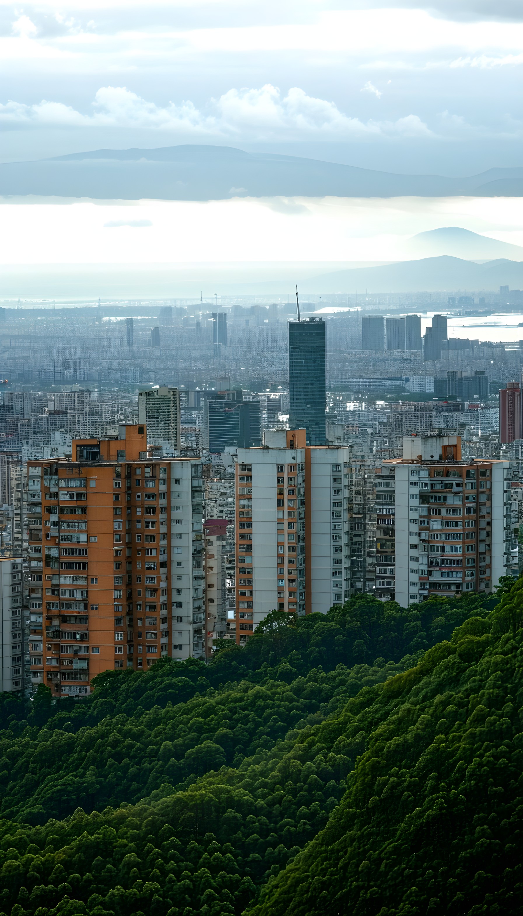 Hazy Cityscape Above Green Hills | Urban Nature, cityscape, urban forest, city view, green hills, skyscrapers, misty