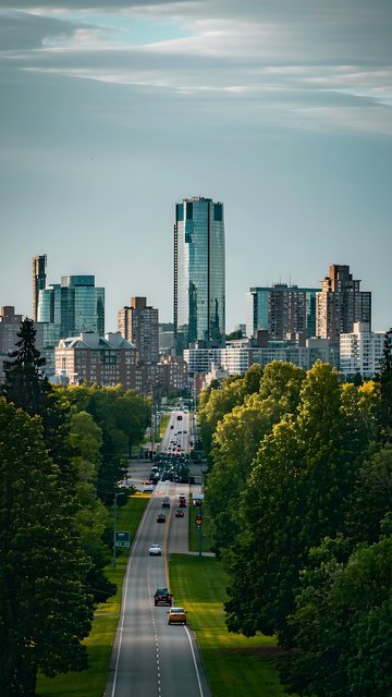 Green Boulevard Leading to Modern City Skyline View