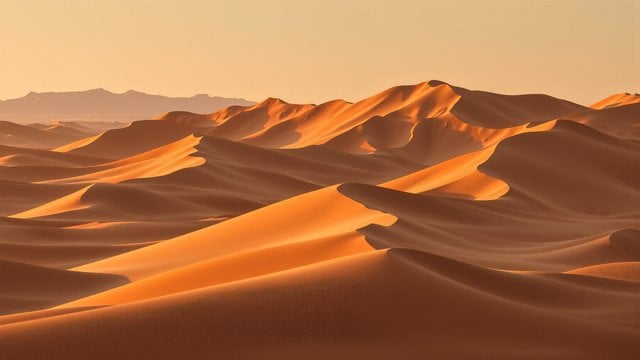 Golden Desert Dunes at Sunset Wallpaper