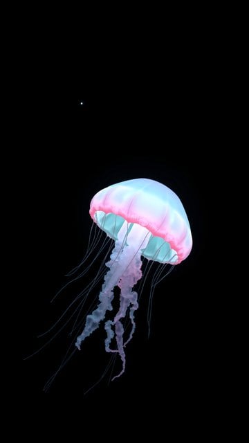 Bioluminescent Jellyfish and Distant Star Wallpaper