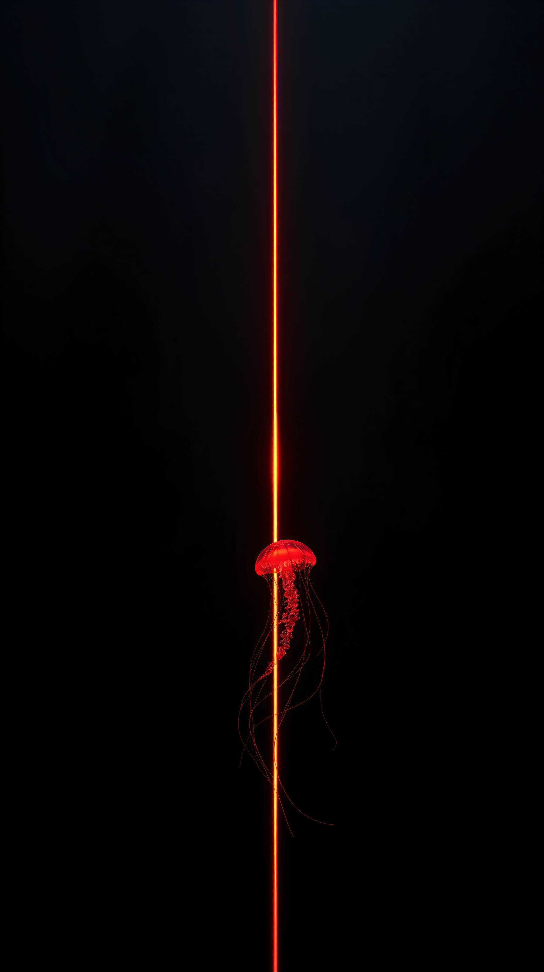 Red Jellyfish & Laser Beam Dark Aesthetic Wallpaper, jellyfish, red, laser, dark, marine life, underwater