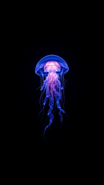 Glowing Blue Pink Jellyfish Dark Ocean Wallpaper