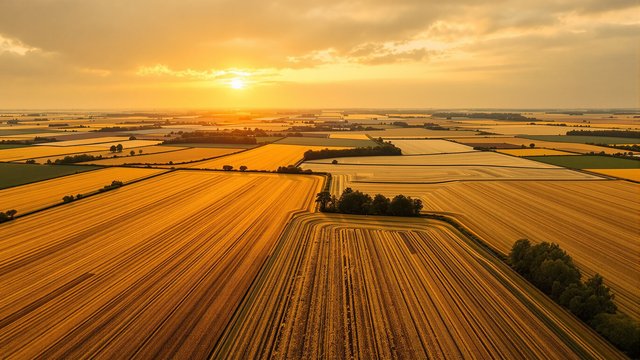 Golden Sunset Over Vast Agricultural Fields