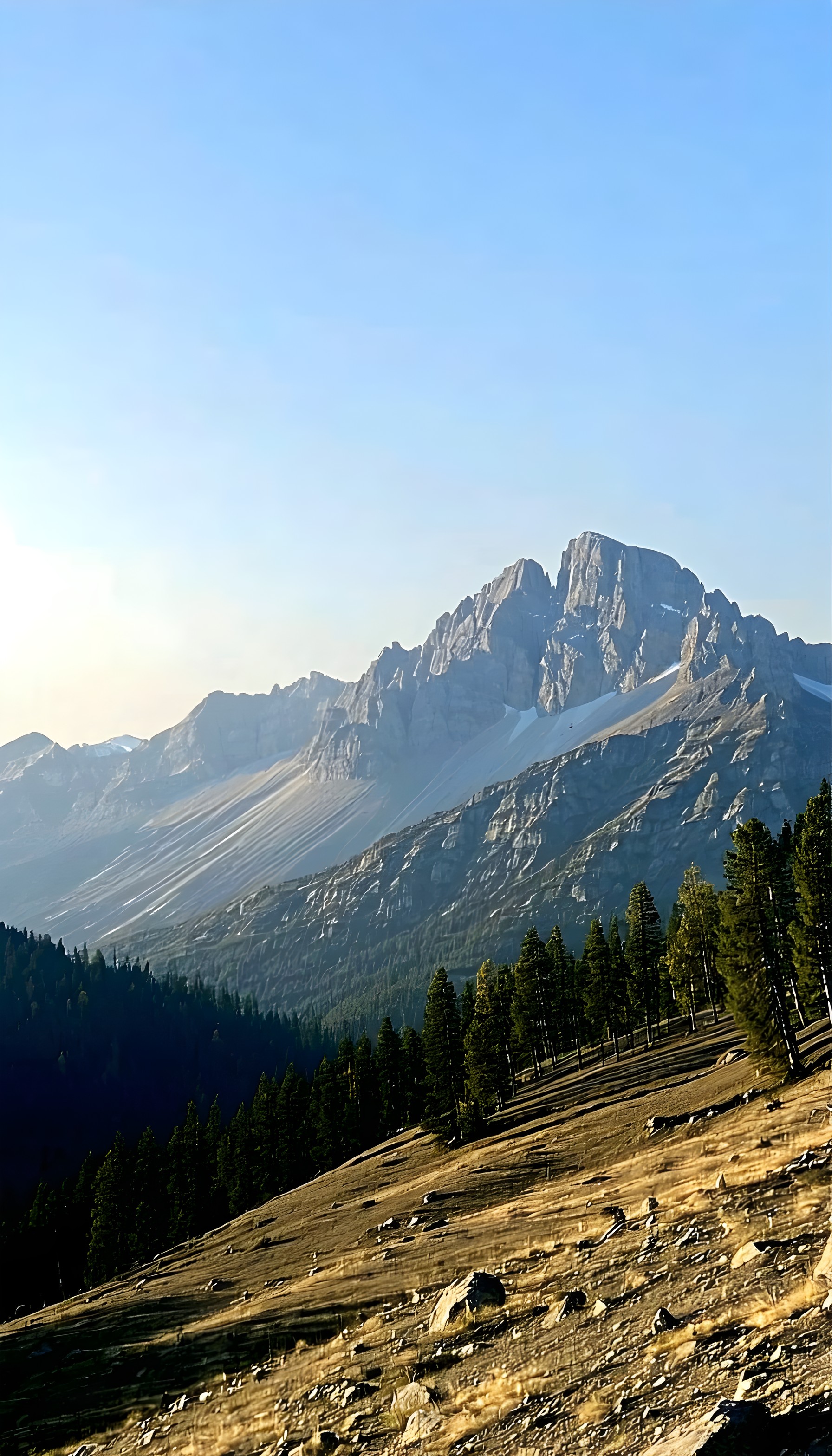 Majestic Alpine Peaks and Pine Forest Wallpaper, mountain, landscape, nature, forest, alpine, scenic