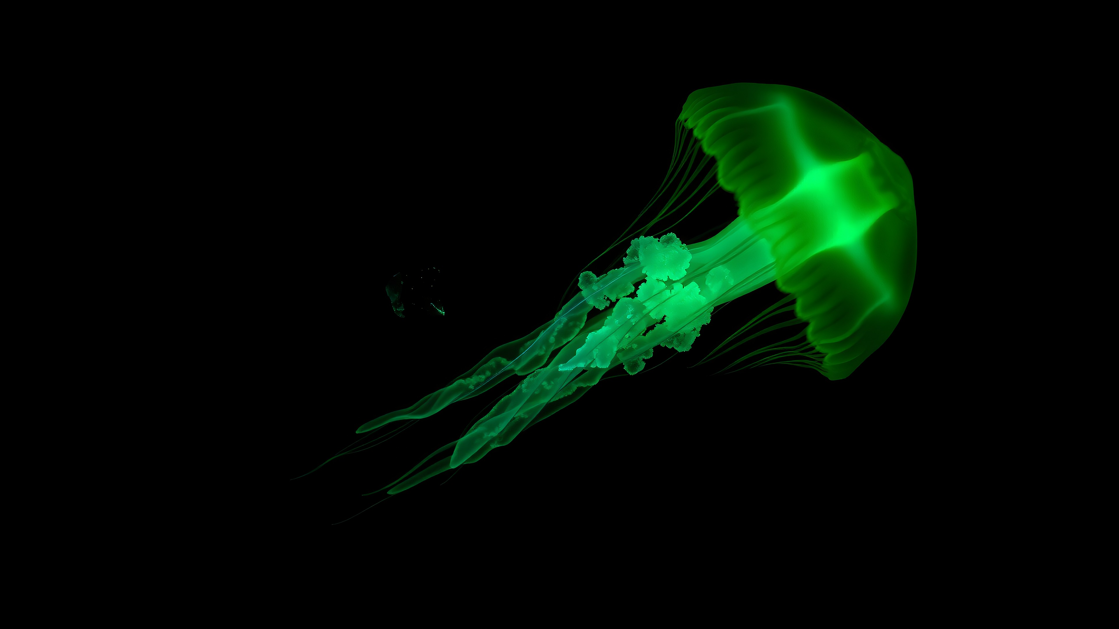 Neon Green Jellyfish Dark Mobile Wallpaper, jellyfish wallpaper, neon green, dark aesthetic, bioluminescent, ocean life, minimalist